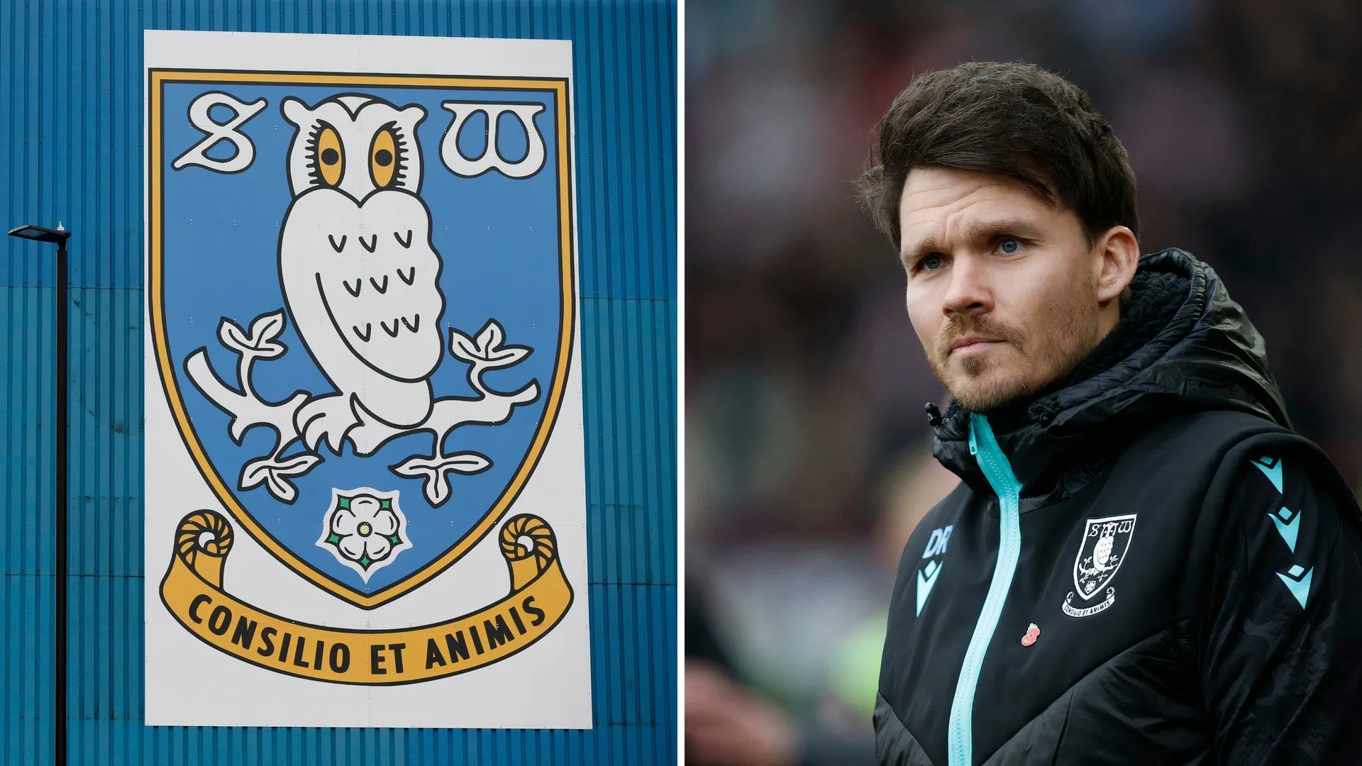 HLV Danny Rohl tại sân Hillsborough của Sheffield Wednesday