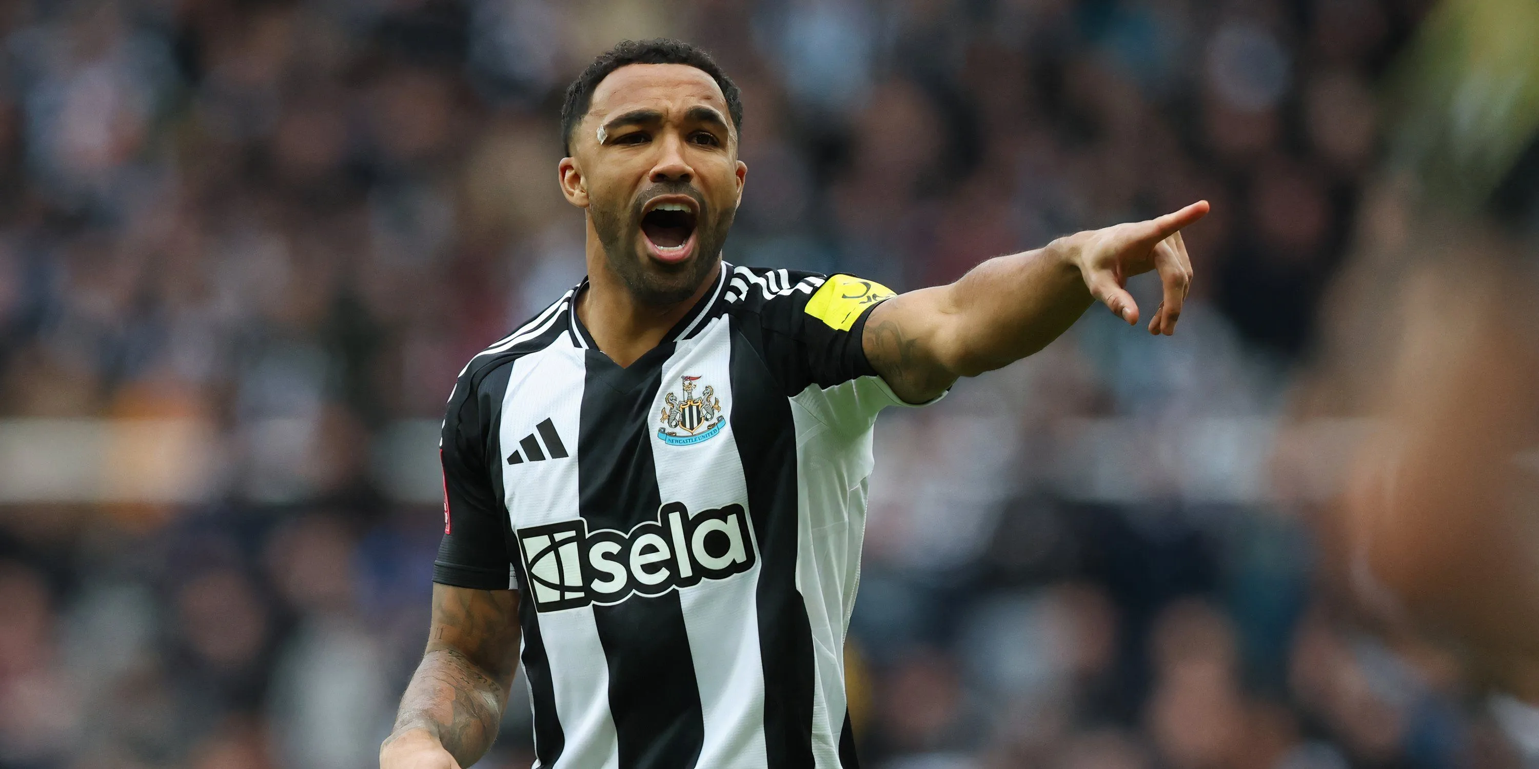 Tiền đạo Callum Wilson của Newcastle United
