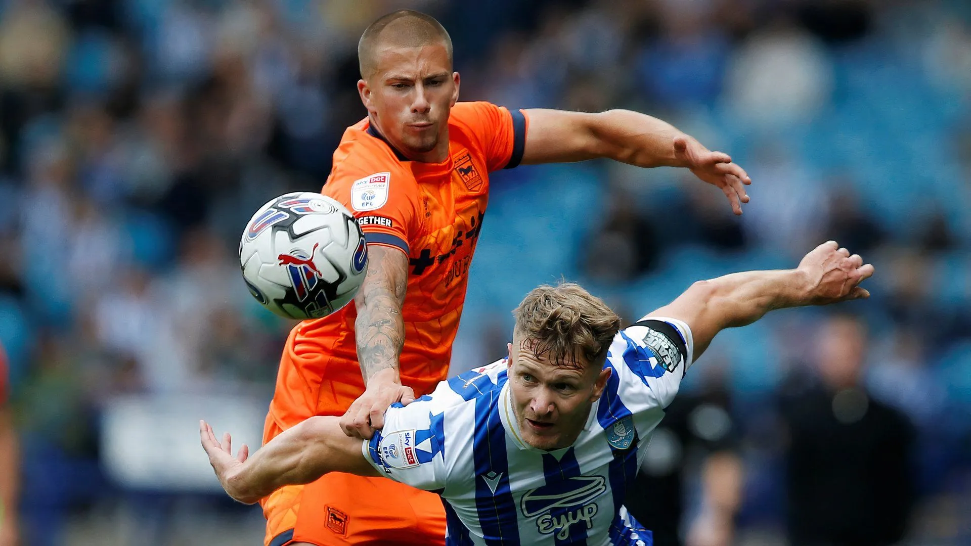 Michael Smith trong màu áo Sheffield Wednesday, mục tiêu chuyển nhượng của Preston